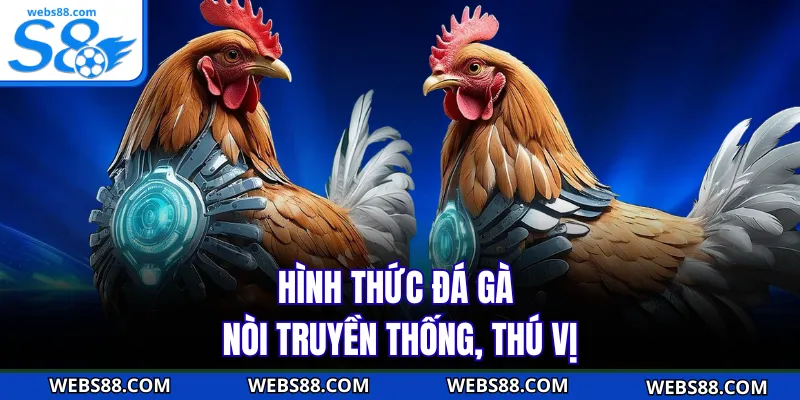 Hình thức đá gà nòi truyền thống, thú vị