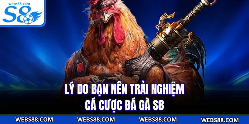 Lý do bạn nên trải nghiệm cá cược đá gà S8