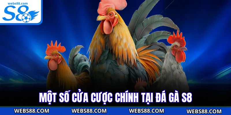 Một số cửa cược chính tại đá gà S8