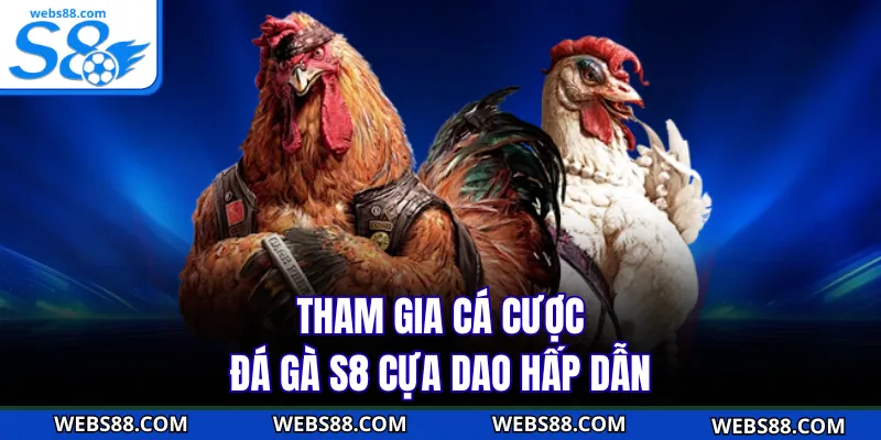 Tham gia cá cược đá gà S8 cựa dao hấp dẫn